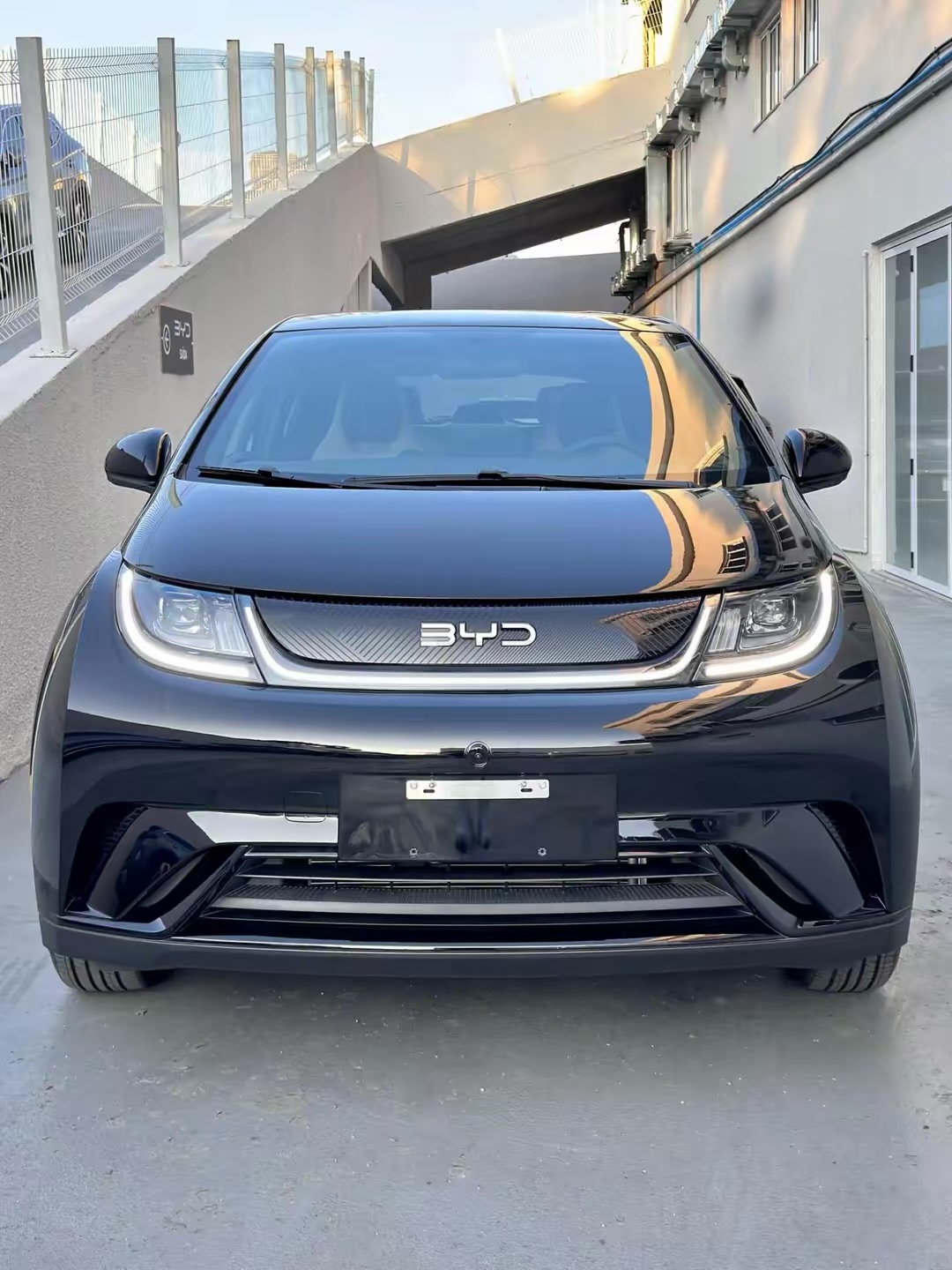 BYD Dolphin GS